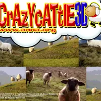 PLay Crazy Cattle 3D now!