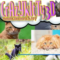 PLay Crazy Kitty 3D now!